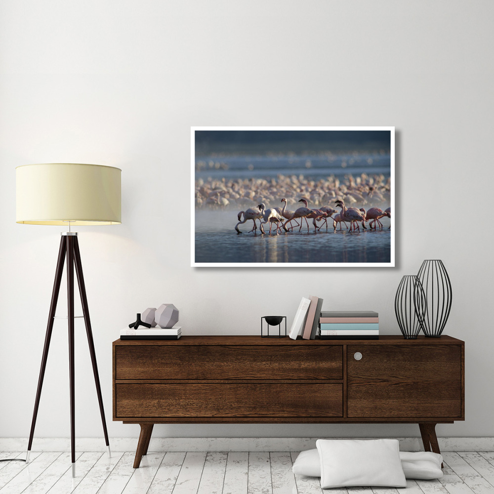 Lesser Flamingo group feeding enmass in the shallow waters of Lake Bogoria, Kenya, Africa-Paper Art-50&quotx34"