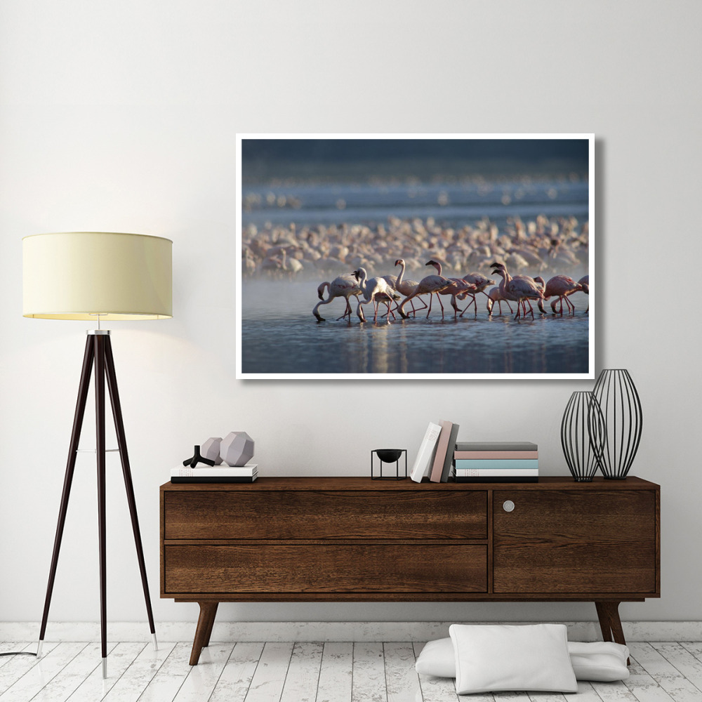 Lesser Flamingo group feeding enmass in the shallow waters of Lake Bogoria, Kenya, Africa-Paper Art-62&quotx42"