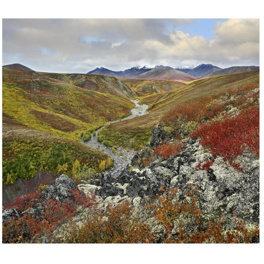 River flowing through tundra, Ogilvie Mountains, Tombstone Territorial Park, Yukon, Canada-Paper Art-18&quotx16.08"