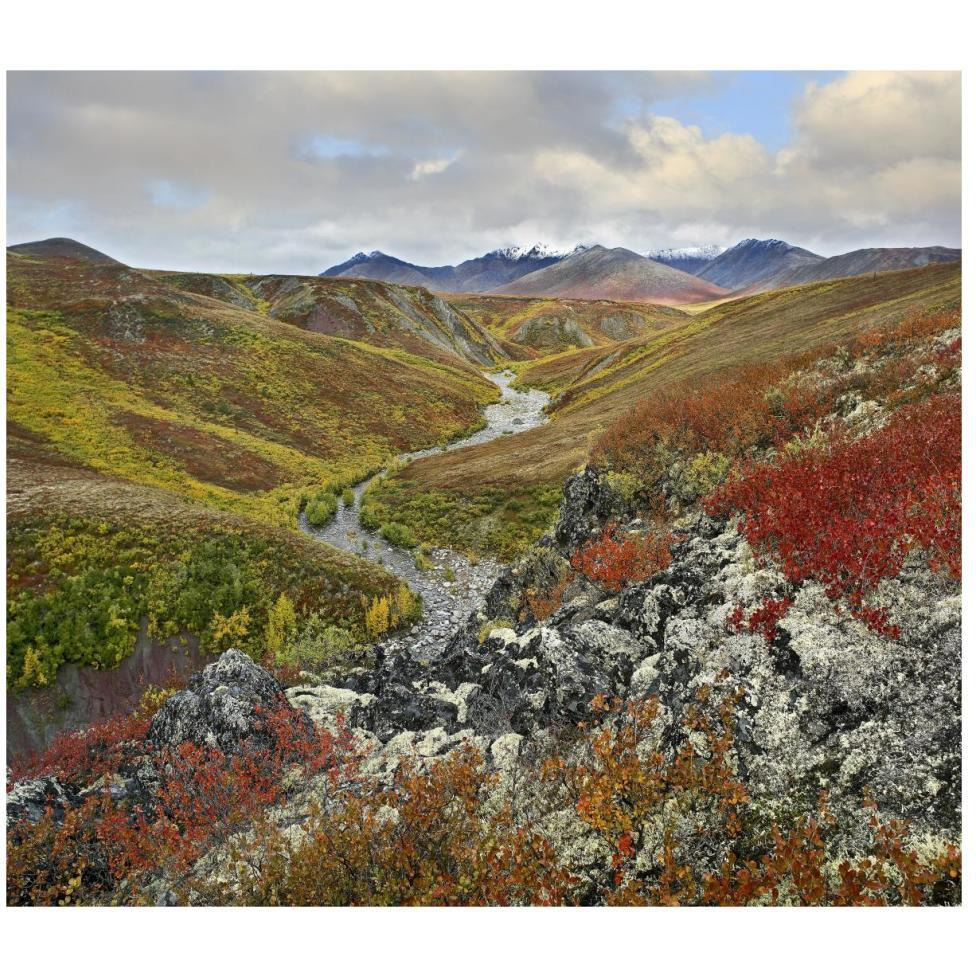 River flowing through tundra, Ogilvie Mountains, Tombstone Territorial Park, Yukon, Canada-Paper Art-46&quotx40.72"