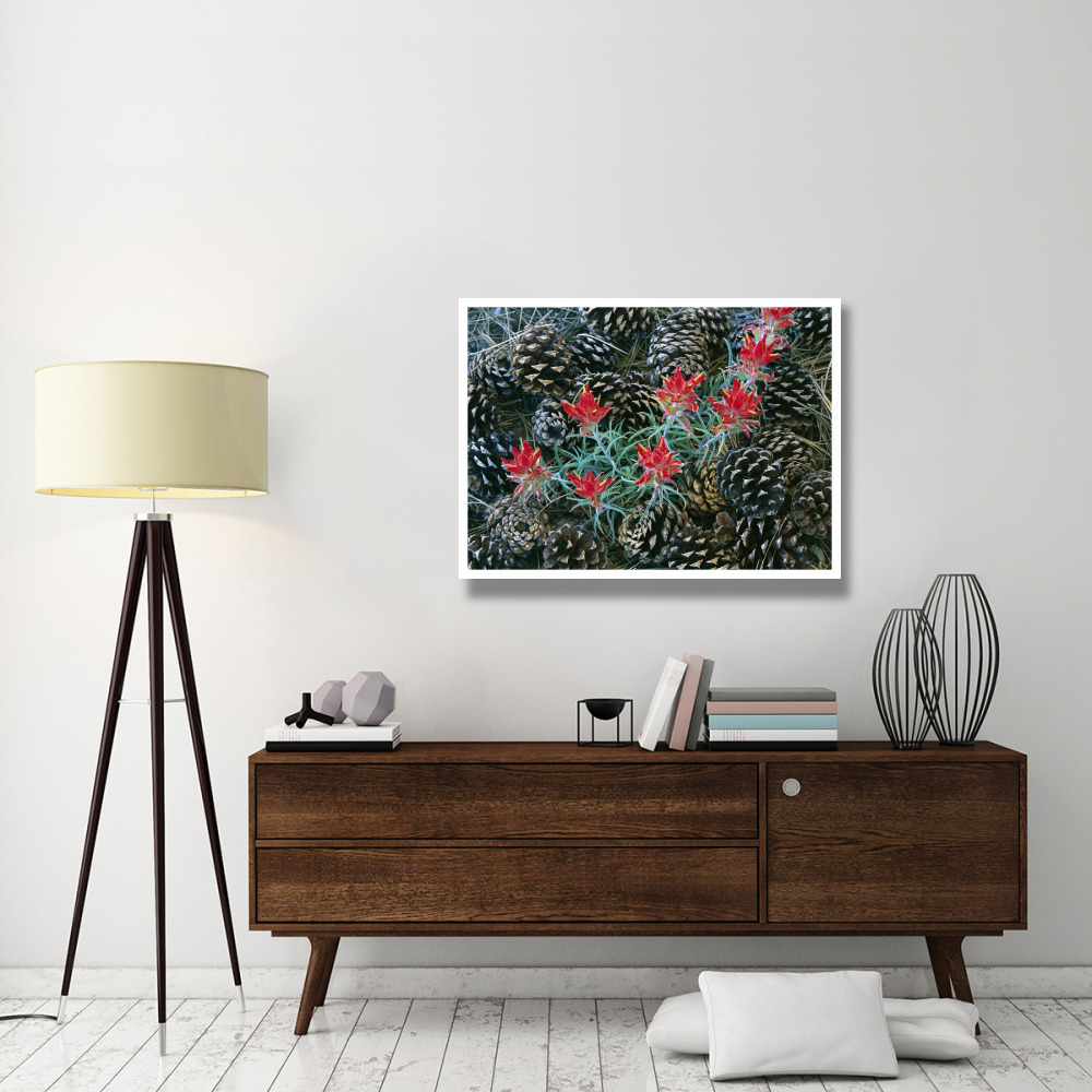 Indian Paintbrush surrounded by pine cones, South Rim, Grand Canyon National Park, Arizona-Paper Art-42&quotx32"