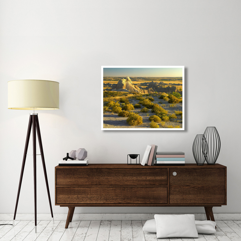 Coyote Bush and eroded features bordering grasslands, Badlands National Park, South Dakota-Paper Art-42&quotx32"