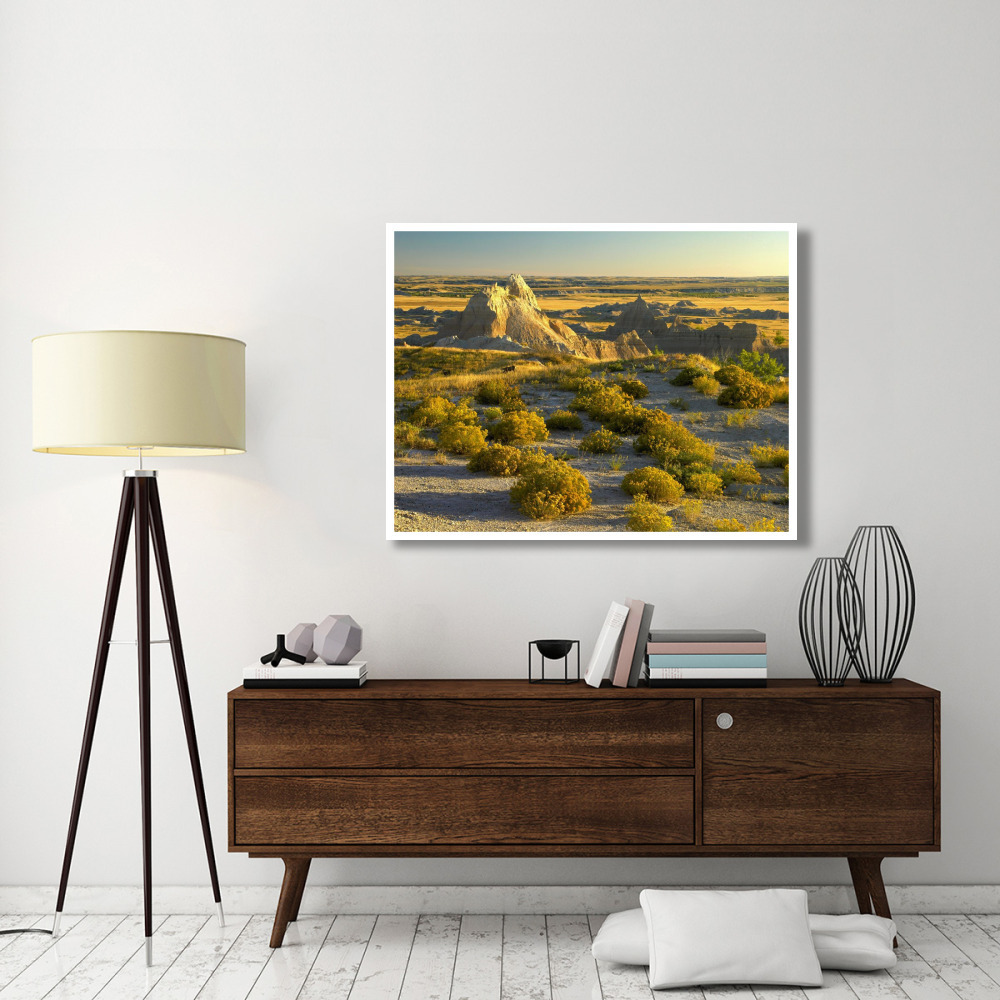 Coyote Bush and eroded features bordering grasslands, Badlands National Park, South Dakota-Paper Art-50&quotx38"