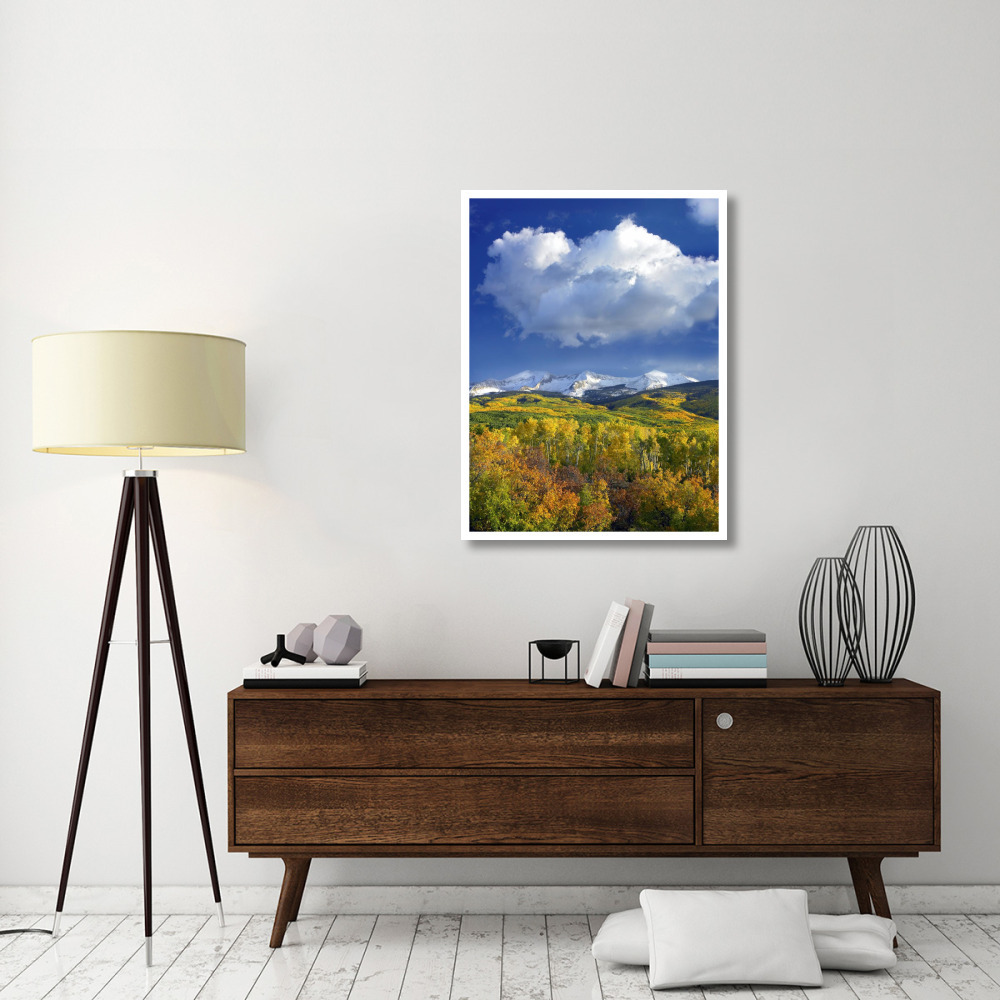 East Beckwith Mountain flanked by fall colored Aspen forests under cumulus clouds, Colorado-Paper Art-32&quotx42"
