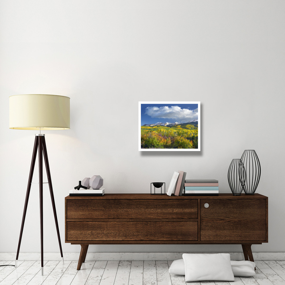 East Beckwith Mountain flanked by fall colored Aspen forests under cumulus clouds, Colorado-Paper Art-26&quotx22"