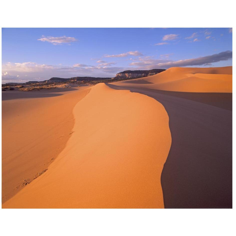 Wind ripples in sand dunes beneath sandstone cliffs, Coral Pink Sand Dunes State Park, Utah-Paper Art-26&quotx20"