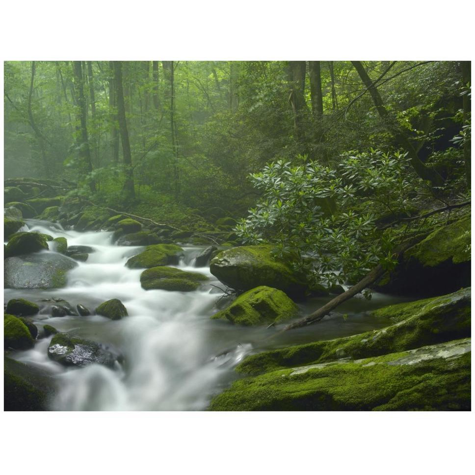 Roaring Fork River flowing through forest in Great Smoky Mountains National Park, Tennessee-Paper Art-42&quotx32"