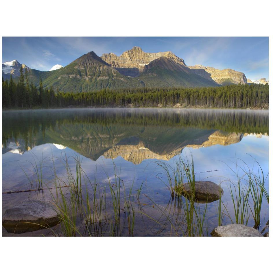 Bow Range and boreal forest reflected in Herbert Lake, Banff National Park, Alberta, Canada-Paper Art-26&quotx20"