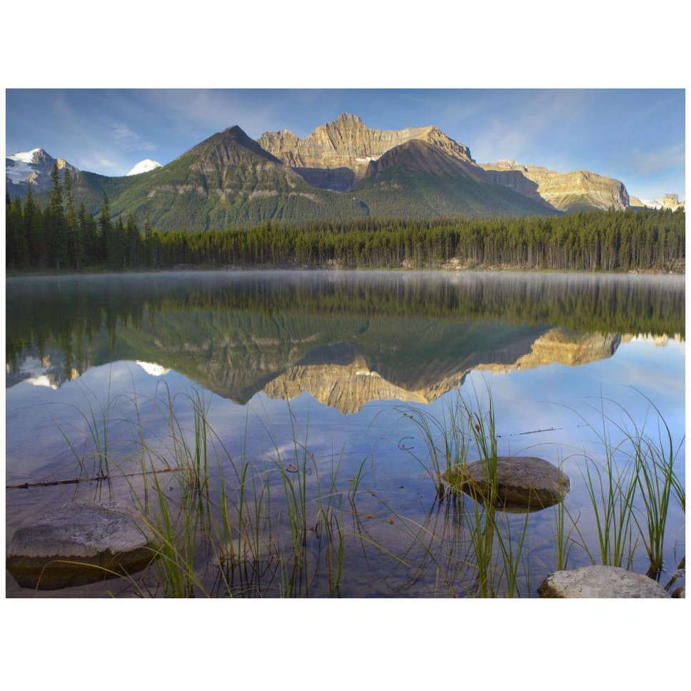 Bow Range and boreal forest reflected in Herbert Lake, Banff National Park, Alberta, Canada-Paper Art-42&quotx32"