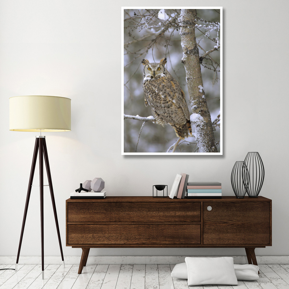 Great Horned Owl in its pale form perching in a snow-covered tree, British Columbia, Canada-Paper Art-42&quotx62"