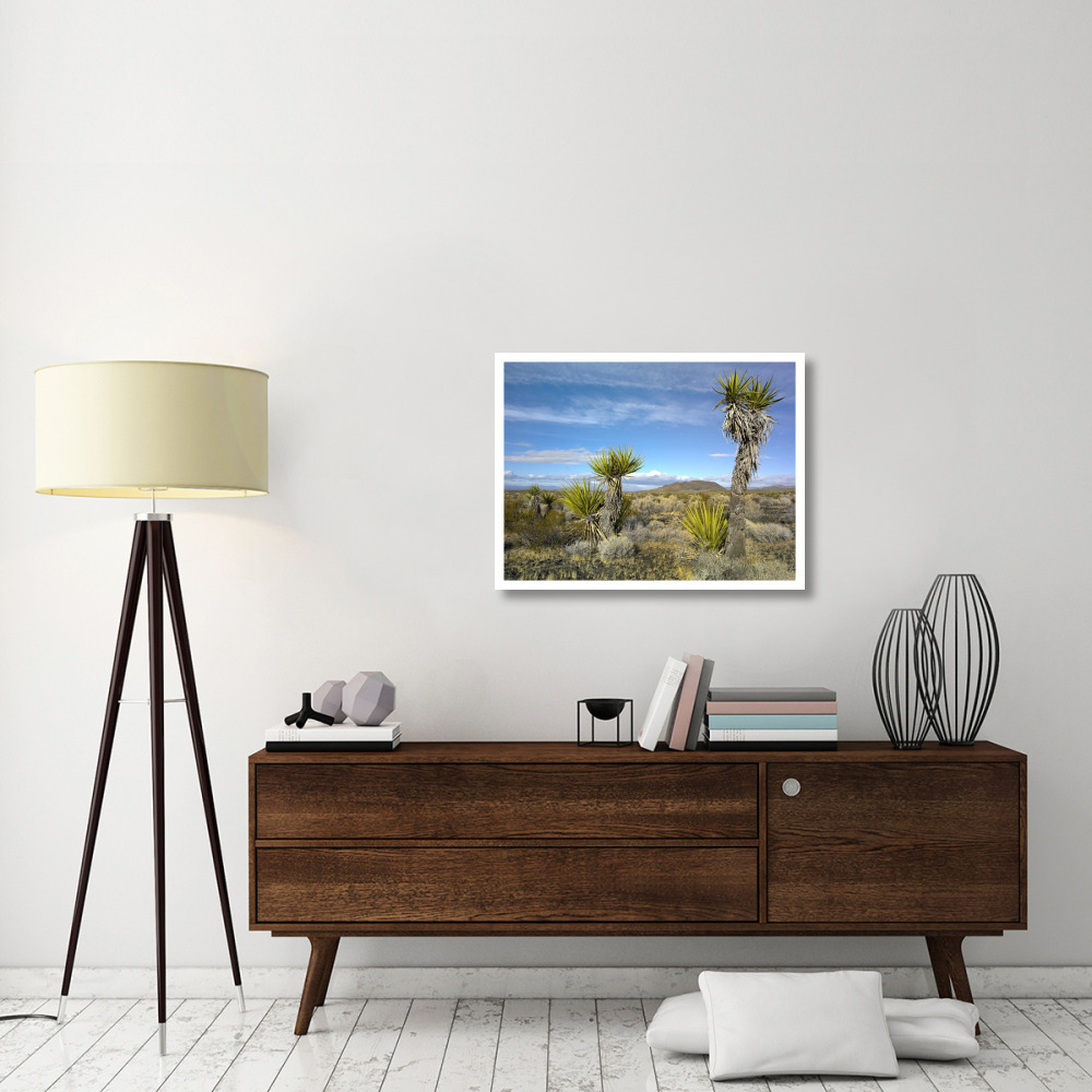 Cinder Cones, Joshua Tree and other desert vegetation, Mojave National Preserve, California-Paper Art-34&quotx26"