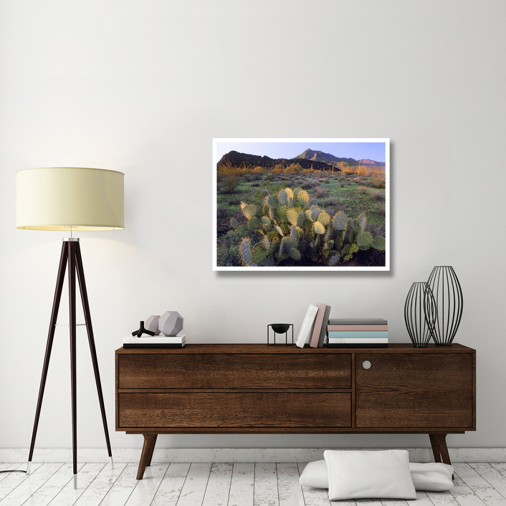 Beavertail Cactus with Picacho Mountain in the background, Pichaco Peak State Park, Arizona-Paper Art-42&quotx32"