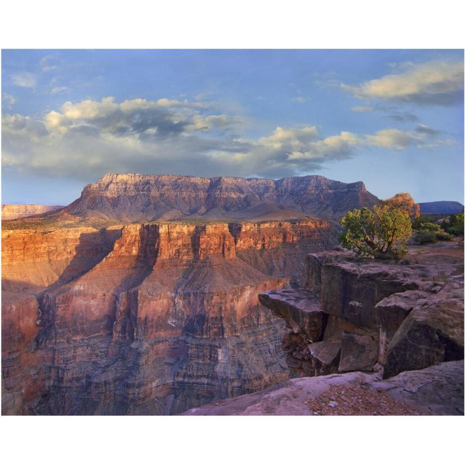 Sandstone cliffs and canyon seen from Toroweap Overlook, Grand Canyon National Park, Arizona-Paper Art-30&quotx24"