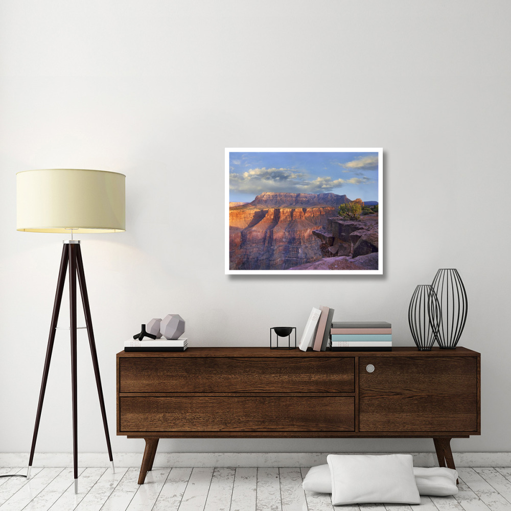 Sandstone cliffs and canyon seen from Toroweap Overlook, Grand Canyon National Park, Arizona-Paper Art-37&quotx30"