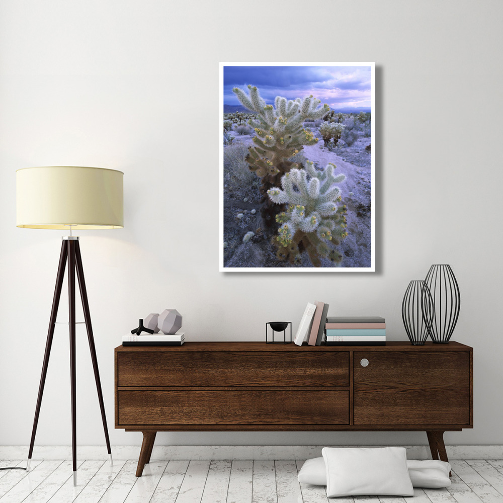 Teddy Bear Cholla or Jumping Cholla under stormy skies, Joshua Tree National Park, California-Paper Art-38&quotx50"