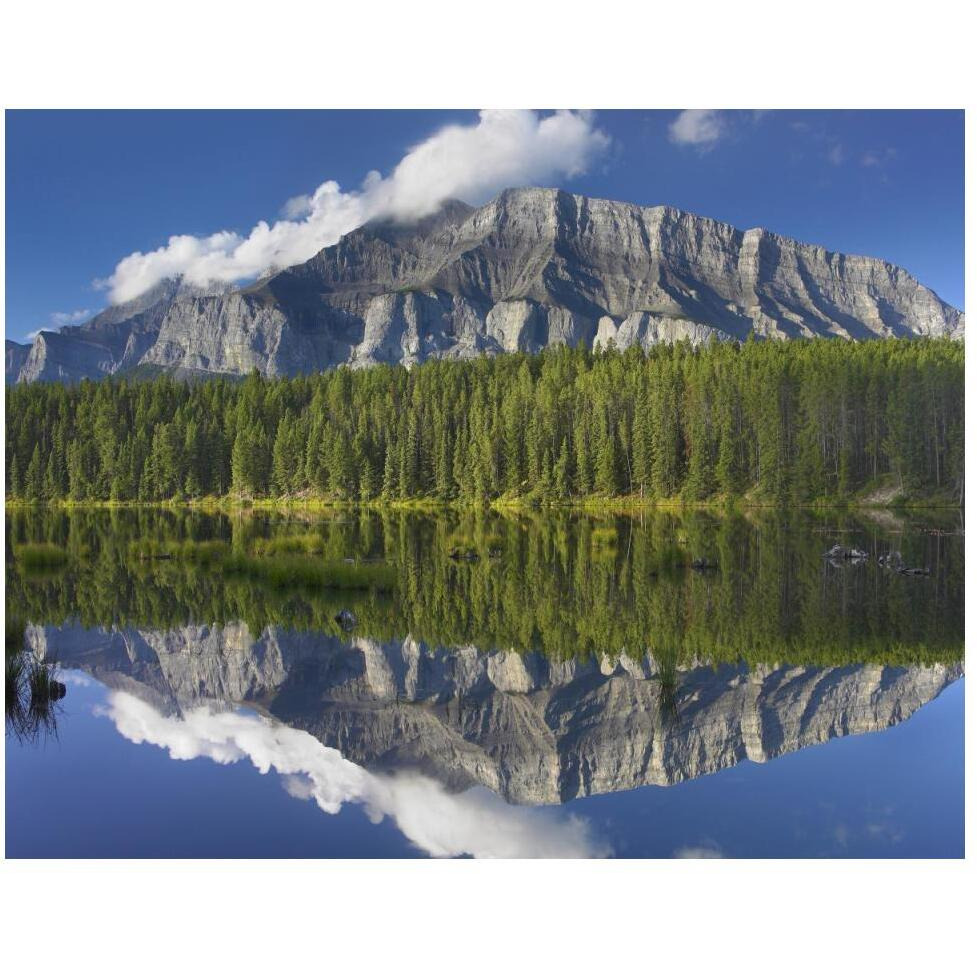 Mount Rundle and boreal forest reflected in Johnson Lake, Banff National Park, Alberta, Canada-Paper Art-50&quotx38"