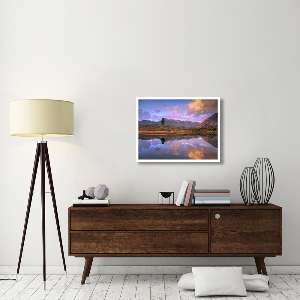 La Plata and Twin Peaks in the Sawatch Range reflected in Twin Lakes with a lone tree, Colorado-Paper Art-34&quotx26"