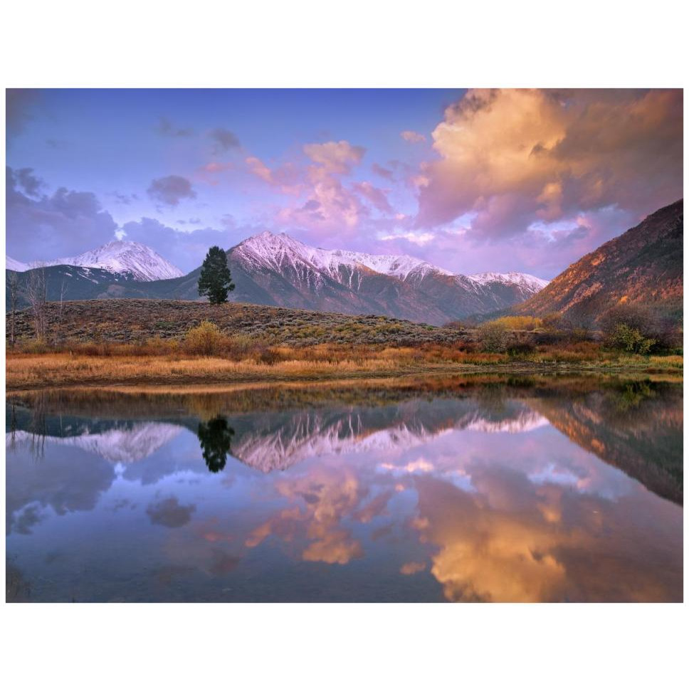 La Plata and Twin Peaks in the Sawatch Range reflected in Twin Lakes with a lone tree, Colorado-Paper Art-42&quotx32"