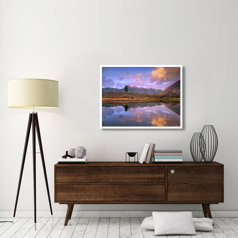 La Plata and Twin Peaks in the Sawatch Range reflected in Twin Lakes with a lone tree, Colorado-Paper Art-42&quotx32"