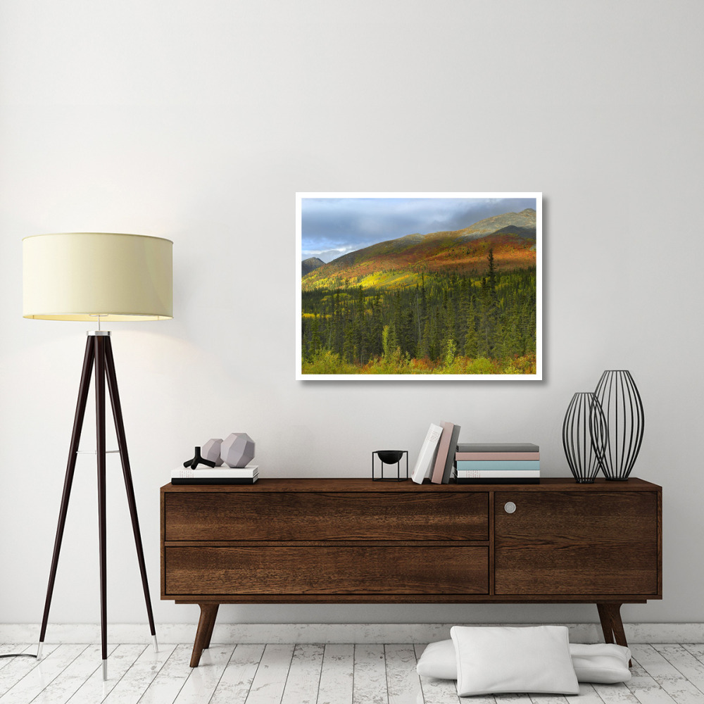 Boreal forest beneath Goldensides Mountain, Tombstone Territorial Park, Yukon Territory, Canada-Paper Art-42&quotx32"