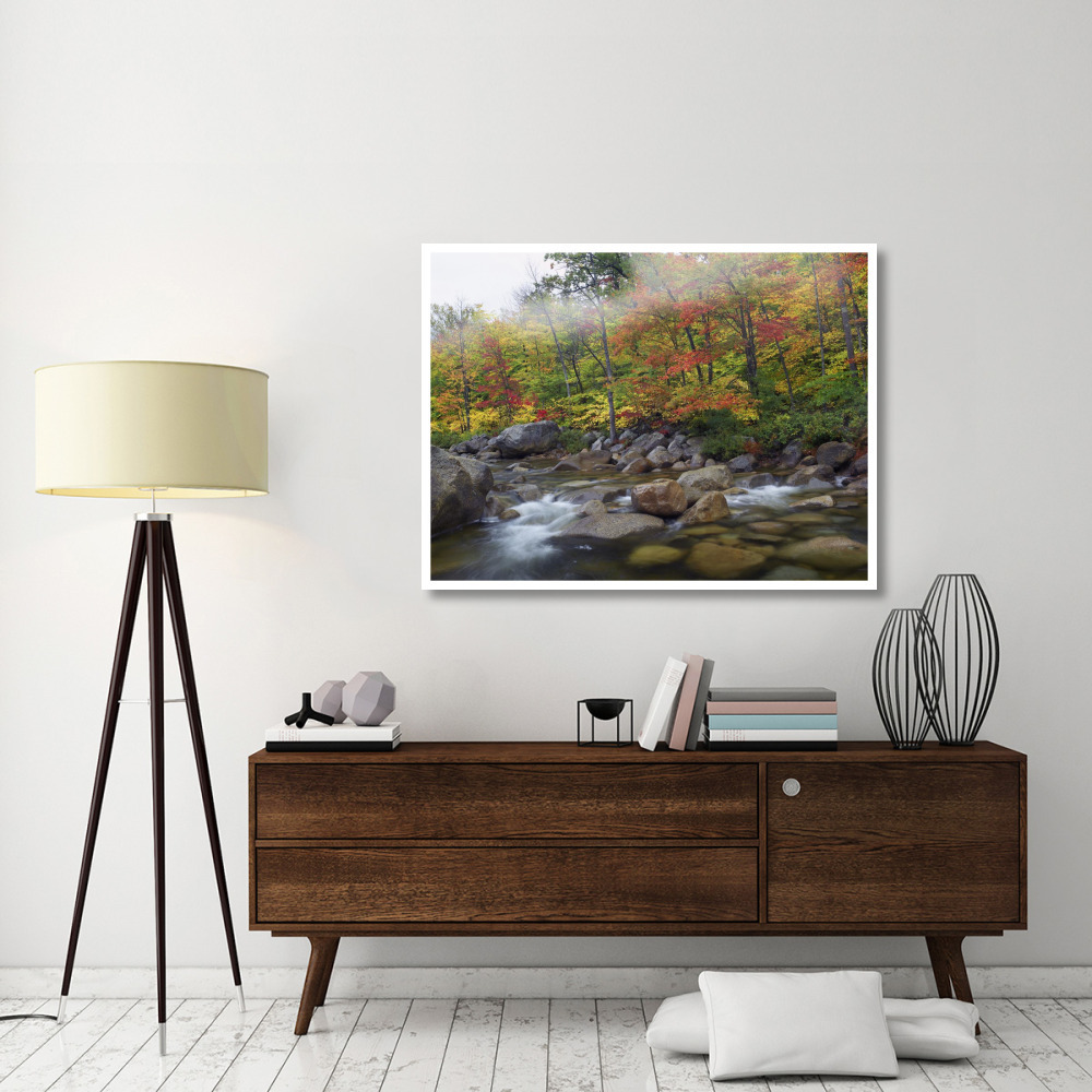 Swift River flowing through fall colored forest, White Mountains National Forest, New Hampshire-Paper Art-50&quotx38"