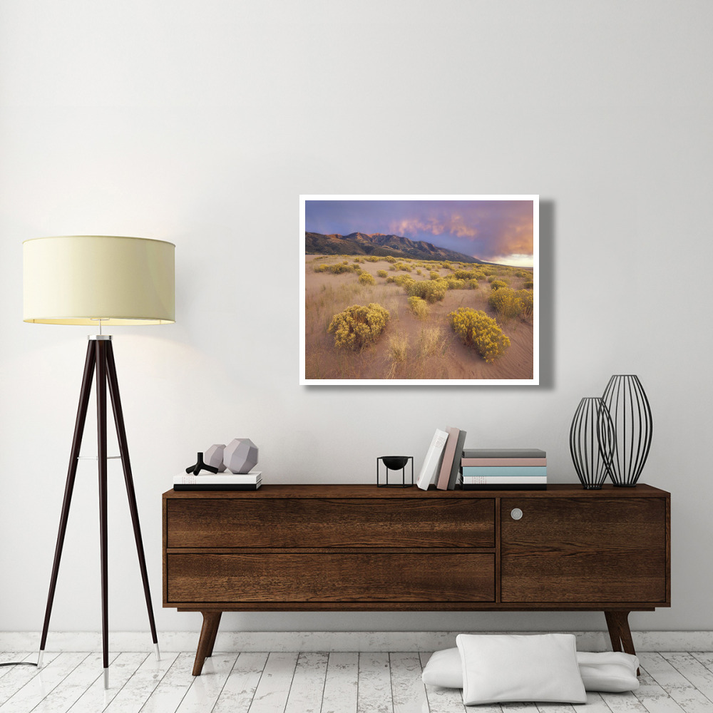 Sagewort on sand dune, Sangre de Cristo Mountains, Great Sand Dunes National Monument, Colorado-Paper Art-42&quotx32"