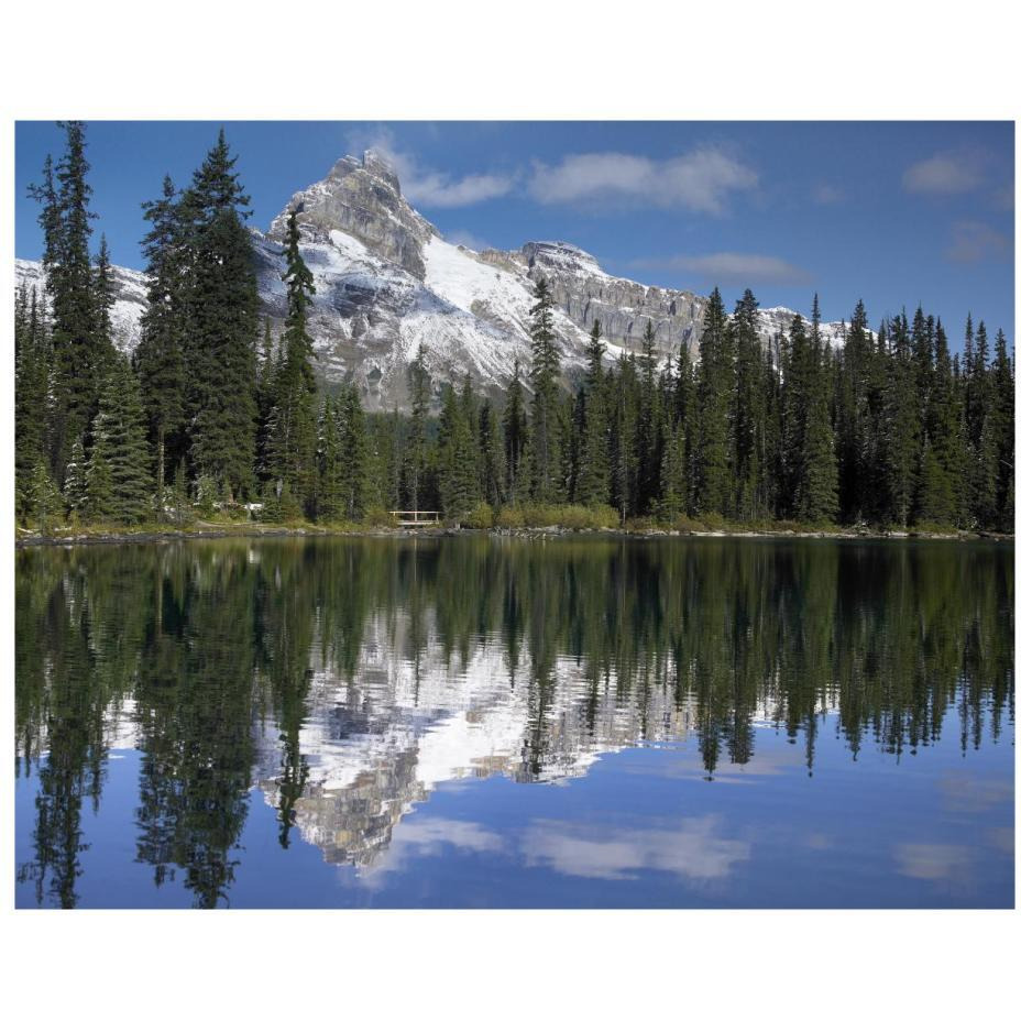 Wiwaxy Peaks and Cathedral Mountain at Lake O'Hara, Yoho National Park, British Columbia, Canada-Paper Art-22&quotx18"