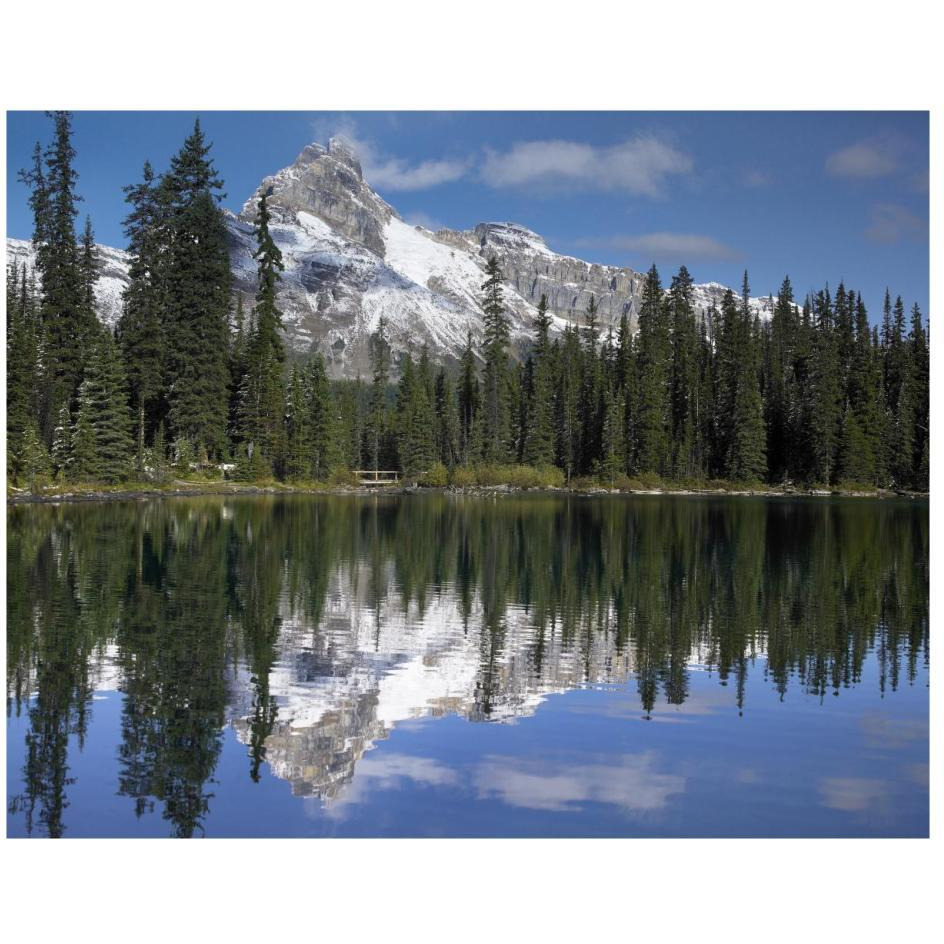 Wiwaxy Peaks and Cathedral Mountain at Lake O'Hara, Yoho National Park, British Columbia, Canada-Paper Art-26&quotx22"