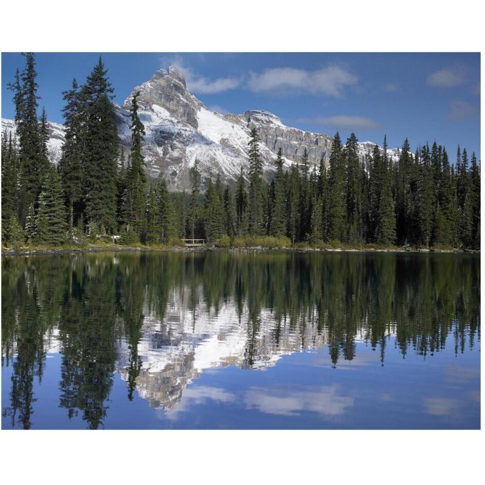 Wiwaxy Peaks and Cathedral Mountain at Lake O'Hara, Yoho National Park, British Columbia, Canada-Paper Art-30&quotx24"