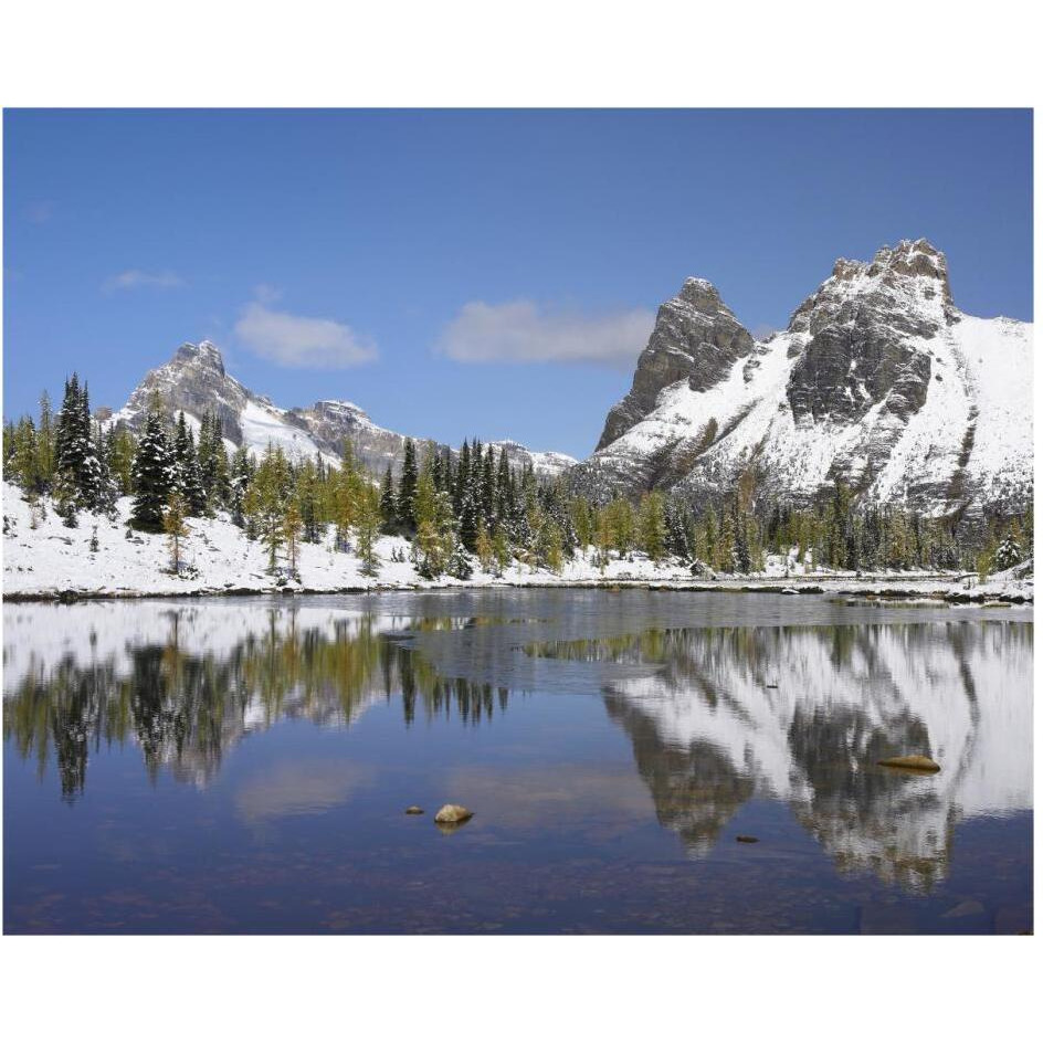 Wiwaxy Peaks and Cathedral Mountain at Lake O'Hara, Yoho National Park, British Columbia, Canada-Paper Art-30&quotx24"