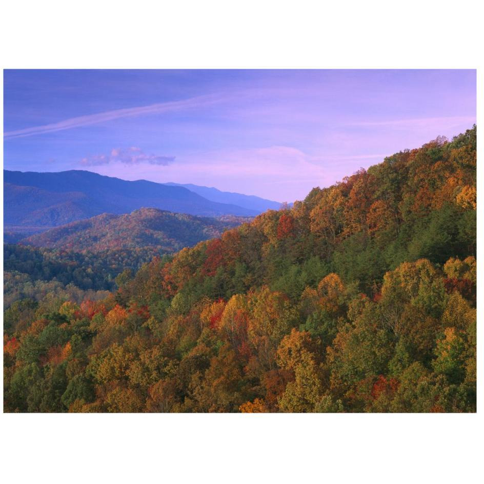 Appalachian Mountains ablaze with fall color, Great Smoky Mountains National Park, North Carolina-Paper Art-26&quotx20"