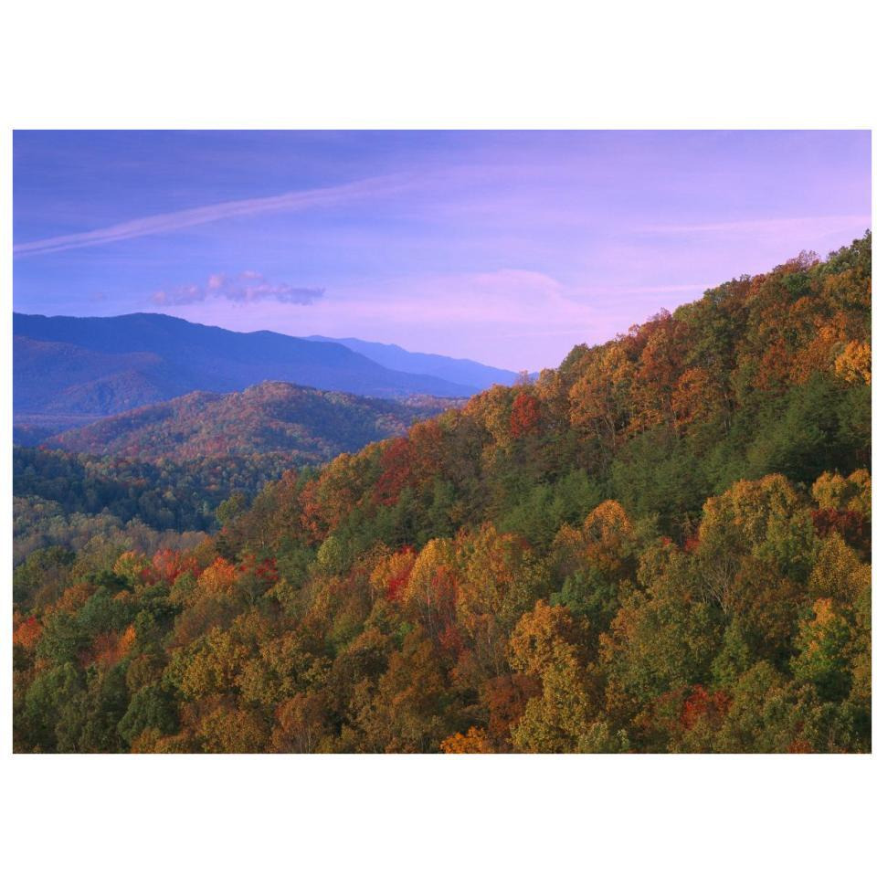 Appalachian Mountains ablaze with fall color, Great Smoky Mountains National Park, North Carolina-Paper Art-34&quotx26"