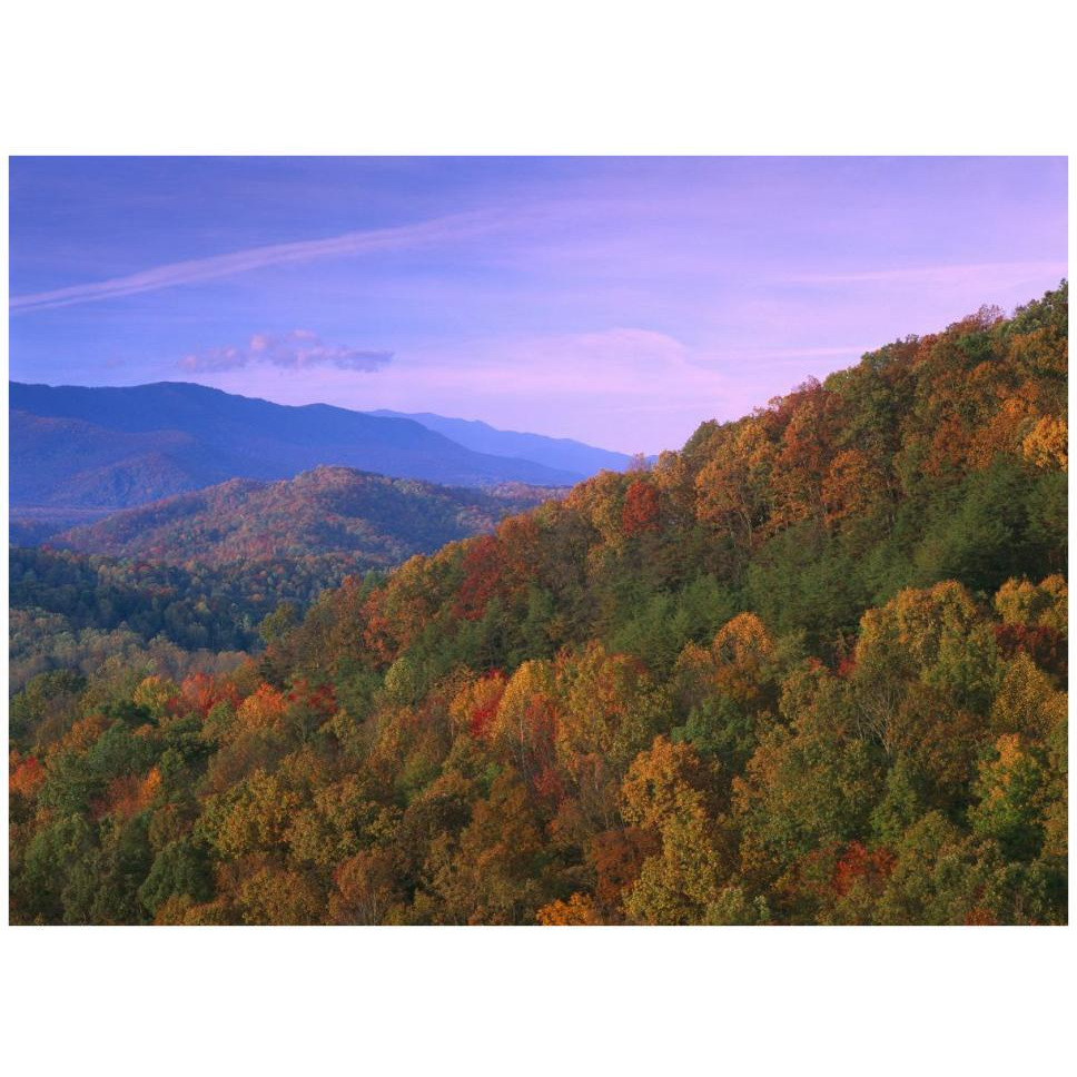 Appalachian Mountains ablaze with fall color, Great Smoky Mountains National Park, North Carolina-Paper Art-42&quotx32"