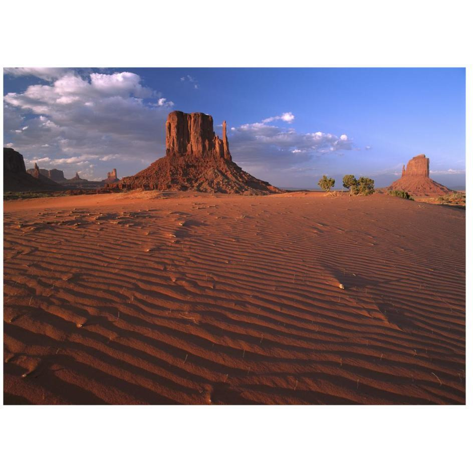The east and west Mittens surrounded by rippled sand, Monument Valley Navajo Tribal Park, Arizona-Paper Art-26&quotx20"
