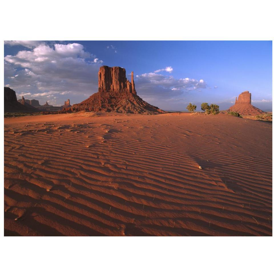 The east and west Mittens surrounded by rippled sand, Monument Valley Navajo Tribal Park, Arizona-Paper Art-34&quotx26"