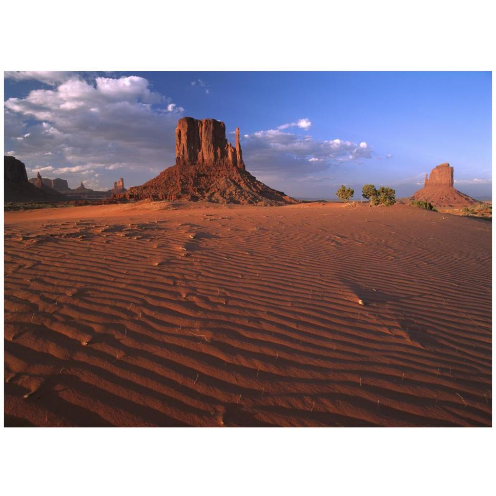 The east and west Mittens surrounded by rippled sand, Monument Valley Navajo Tribal Park, Arizona-Paper Art-42&quotx32"