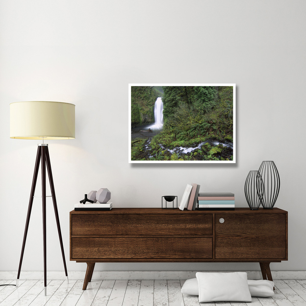 Multnomah Falls cascading through temperate rainforest, Columbia River Gorge near Portland, Oregon-Paper Art-42&quotx32"