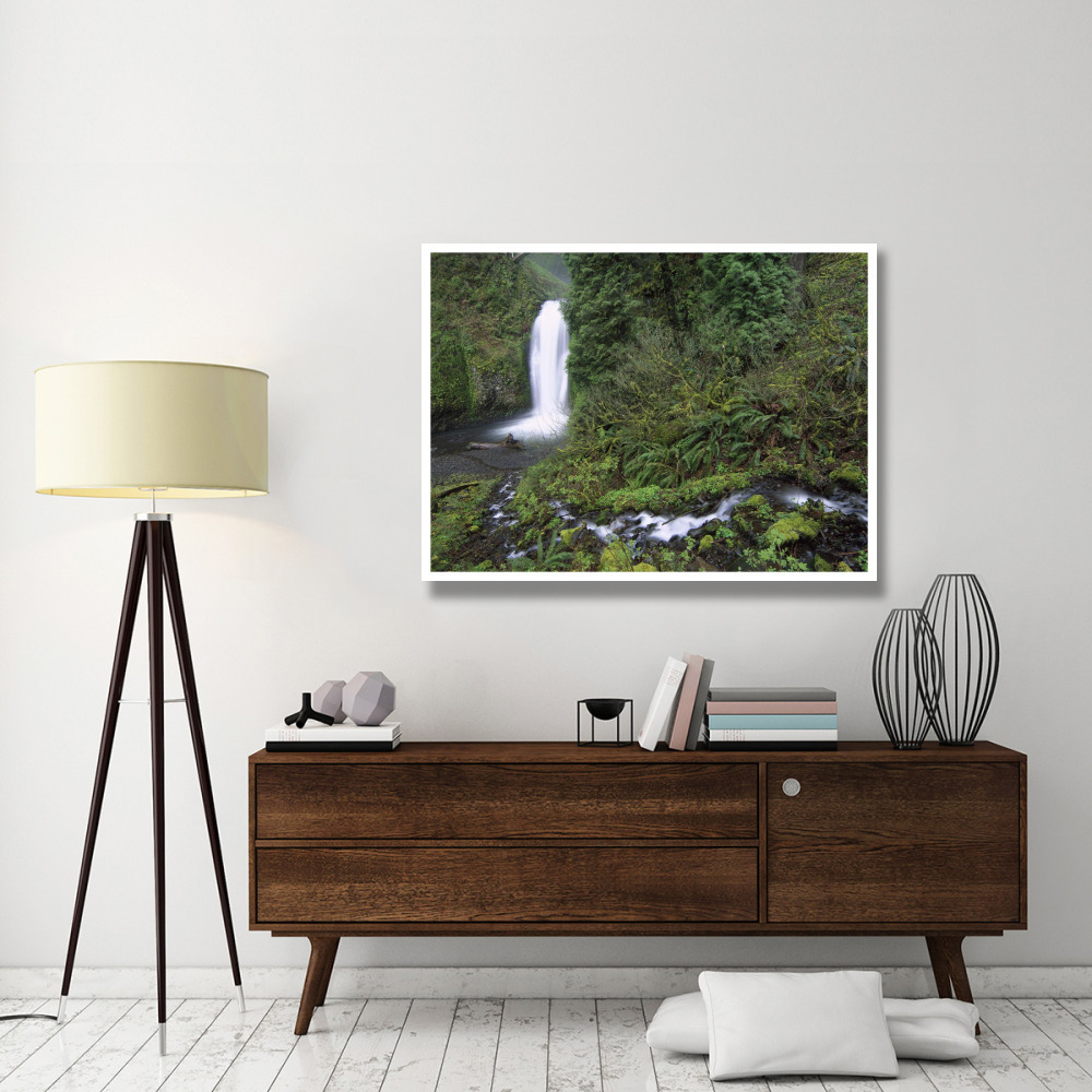 Multnomah Falls cascading through temperate rainforest, Columbia River Gorge near Portland, Oregon-Paper Art-50&quotx38"