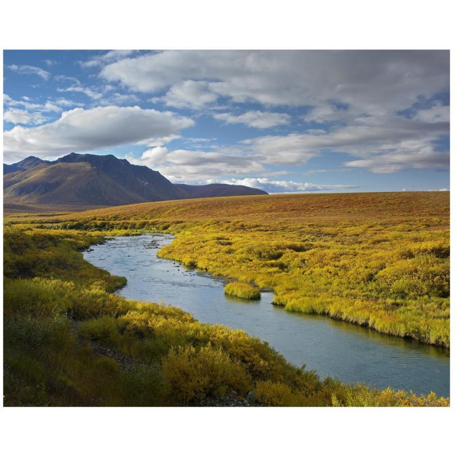 North Klondike River flowing through tundra beneath the Ogilvie Mountains, Yukon Territory, Canada-Paper Art-26&quotx22"