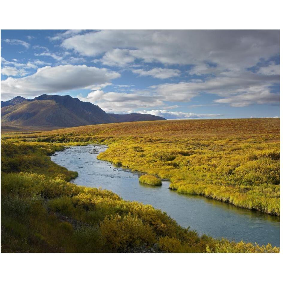 North Klondike River flowing through tundra beneath the Ogilvie Mountains, Yukon Territory, Canada-Paper Art-30&quotx24"