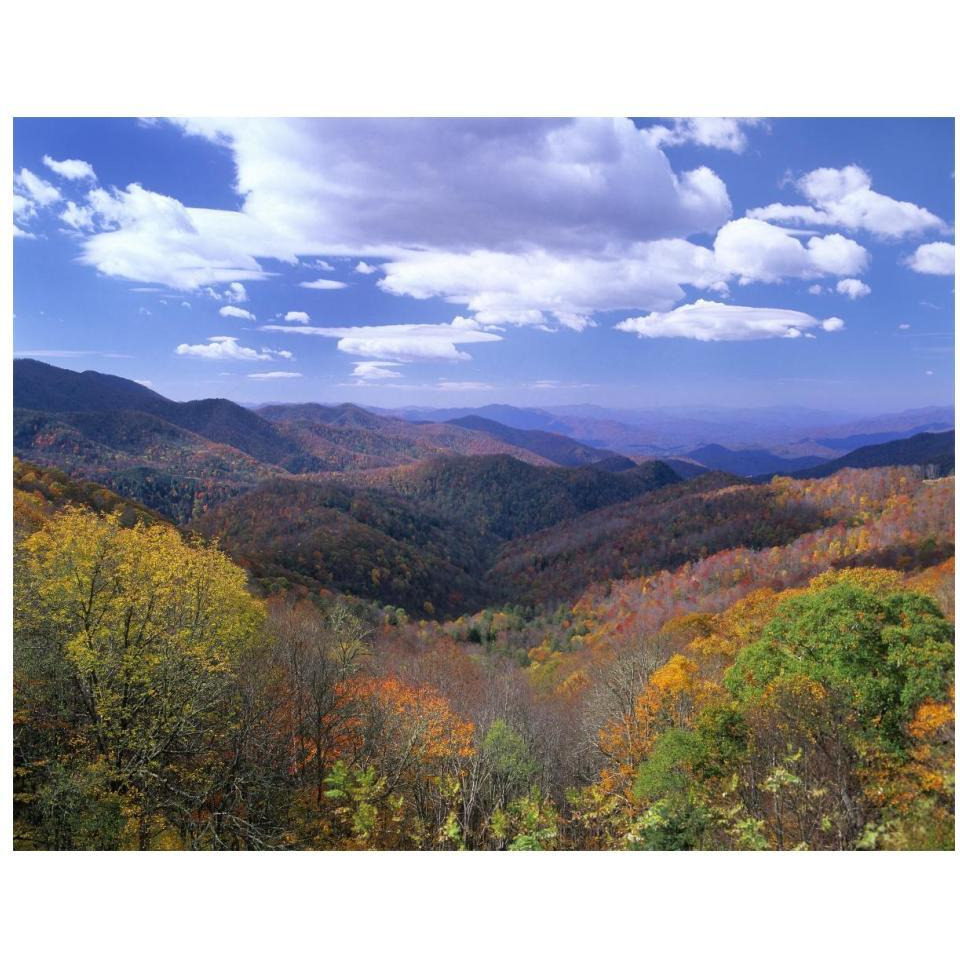 Deciduous forest in the autumn from Thunderstruck Ridge Overlook, Blue Ridge Parkway, North Carolina-Paper Art-18&quotx14"