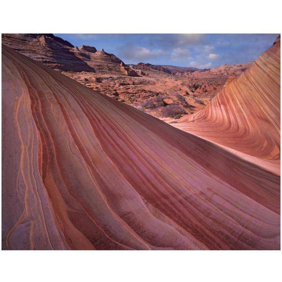 Detail of The Wave, a Navajo sandstone formation in Paria Canyon-Vermilion Cliffs Wilderness, Arizona-Paper Art-18&quotx14"