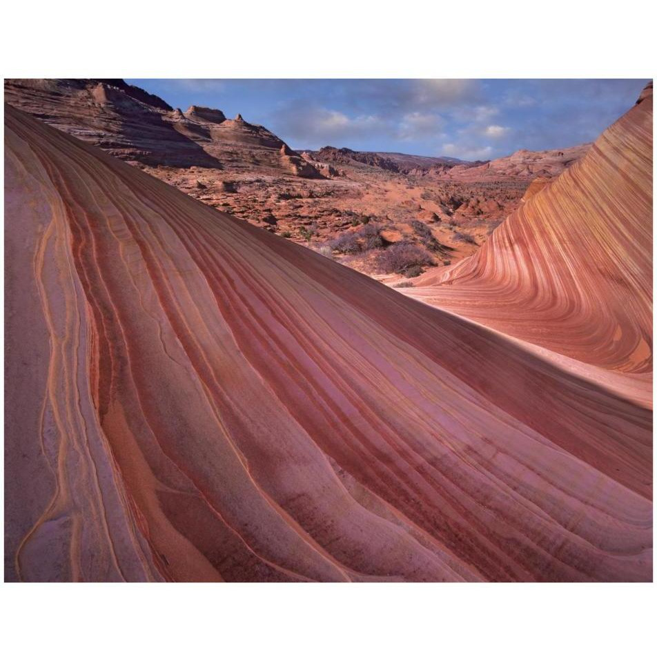 Detail of The Wave, a Navajo sandstone formation in Paria Canyon-Vermilion Cliffs Wilderness, Arizona-Paper Art-34&quotx26"
