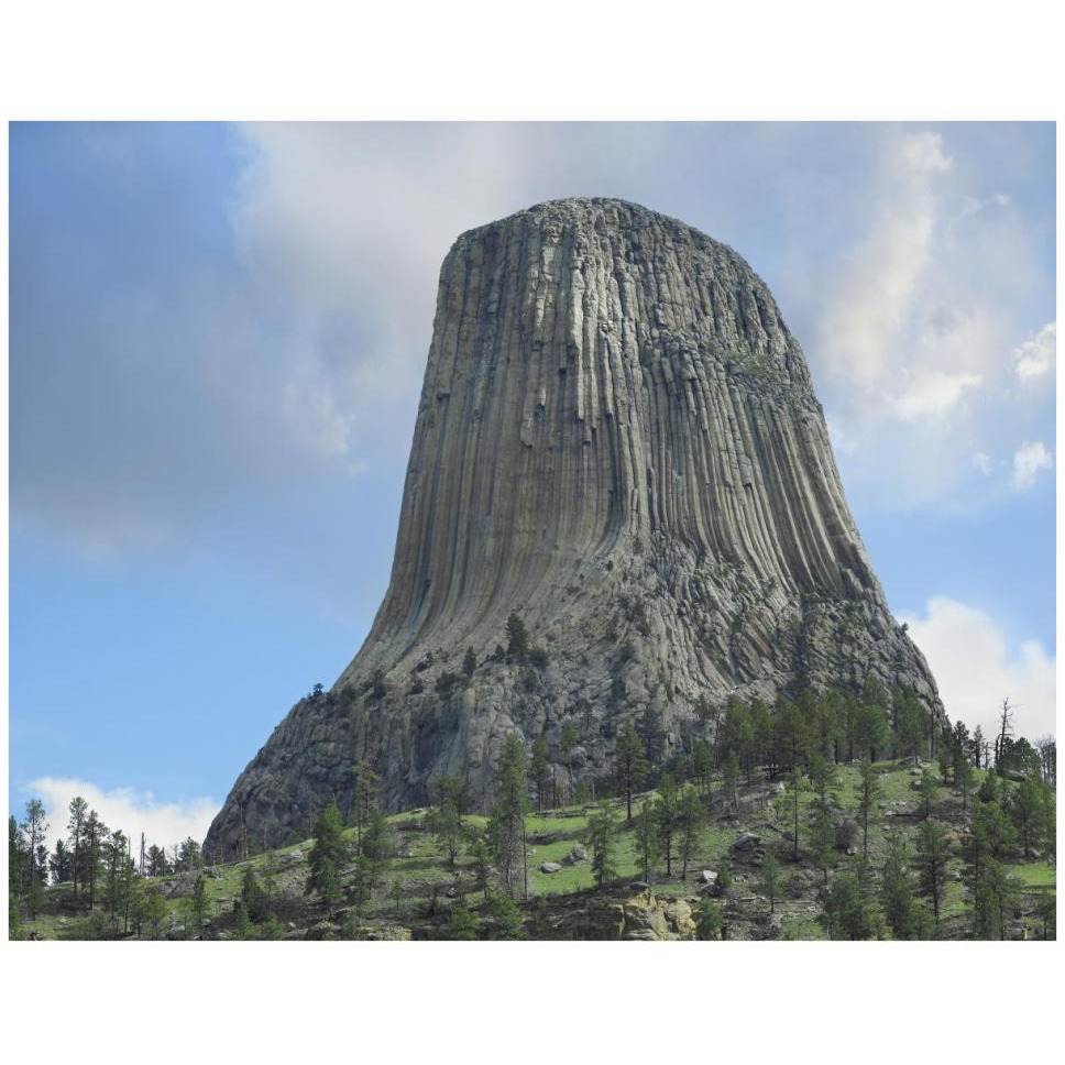 Devil's Tower National Monument showing famous basalt tower, sacred site for Native Americans, Wyoming-Paper Art-42&quotx32"