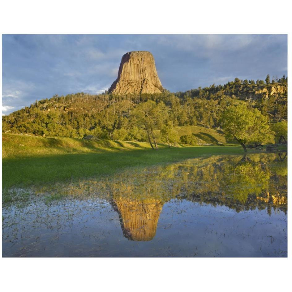 Devil's Tower National Monument showing famous basalt tower, sacred site for Native Americans, Wyoming-Paper Art-26&quotx20"