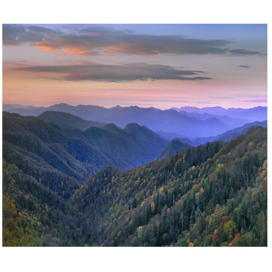 Deciduous forest covering mountains, Newfound Gap, Great Smoky Mountains National Park, North Carolina-Paper Art-18&quotx15.44"