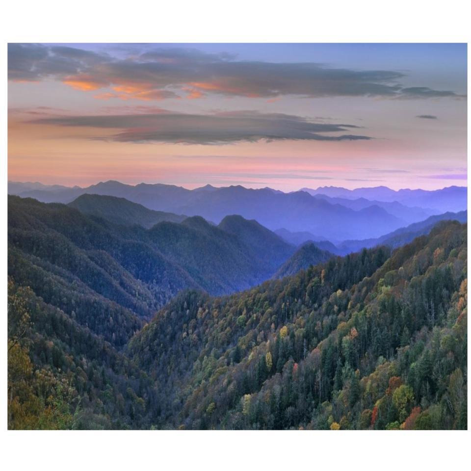 Deciduous forest covering mountains, Newfound Gap, Great Smoky Mountains National Park, North Carolina-Paper Art-32&quotx27.2"