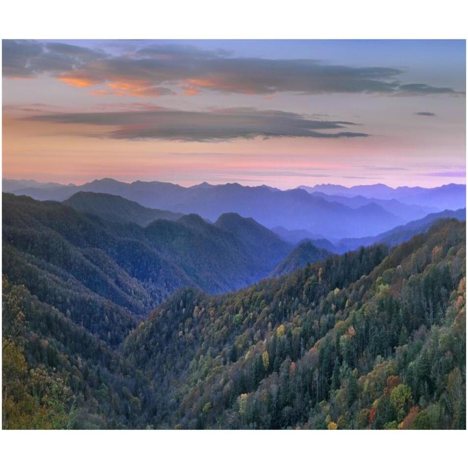 Deciduous forest covering mountains, Newfound Gap, Great Smoky Mountains National Park, North Carolina-Paper Art-38&quotx32.24"