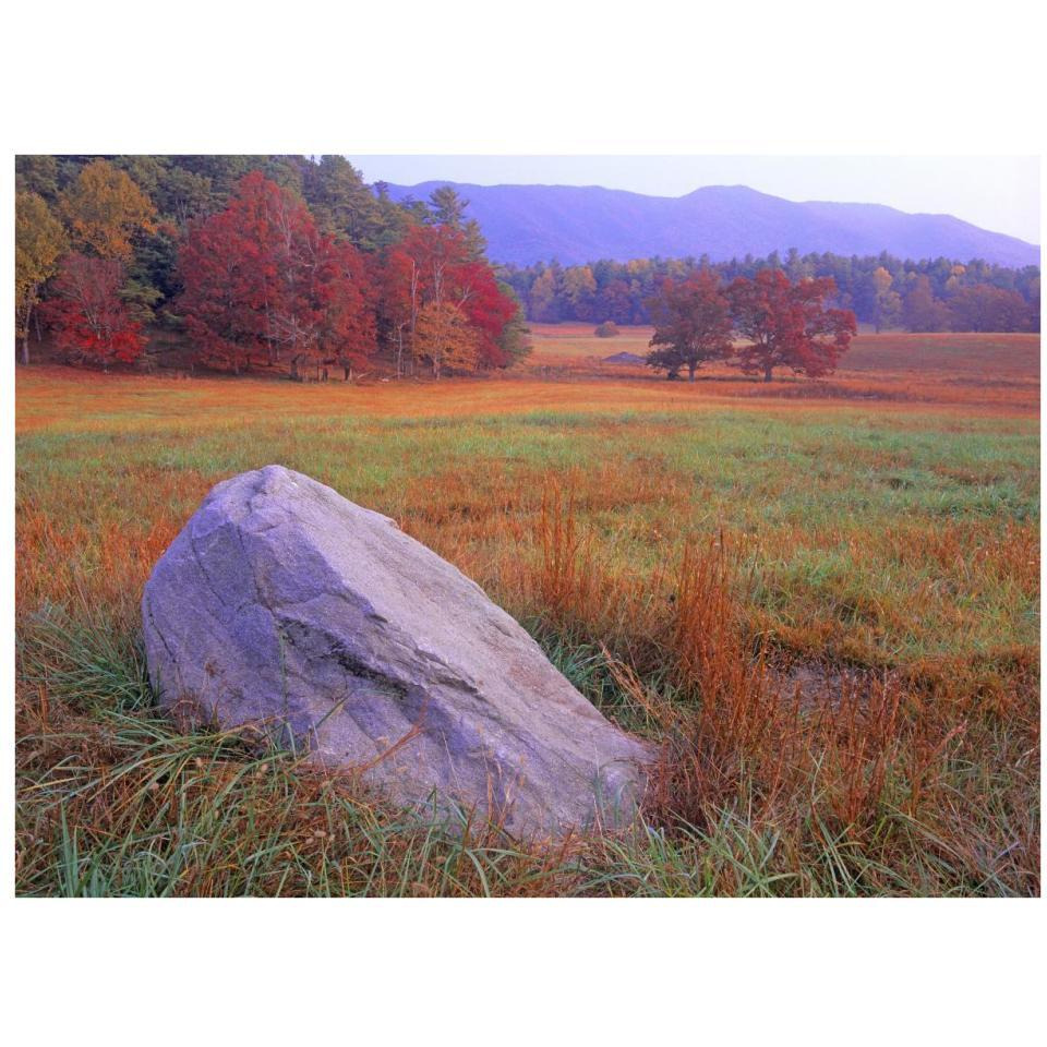 Boulder and autumn colored deciduous forest, Cades Cove, Great Smoky Mountains National Park, Tennessee-Paper Art-34&quotx26"