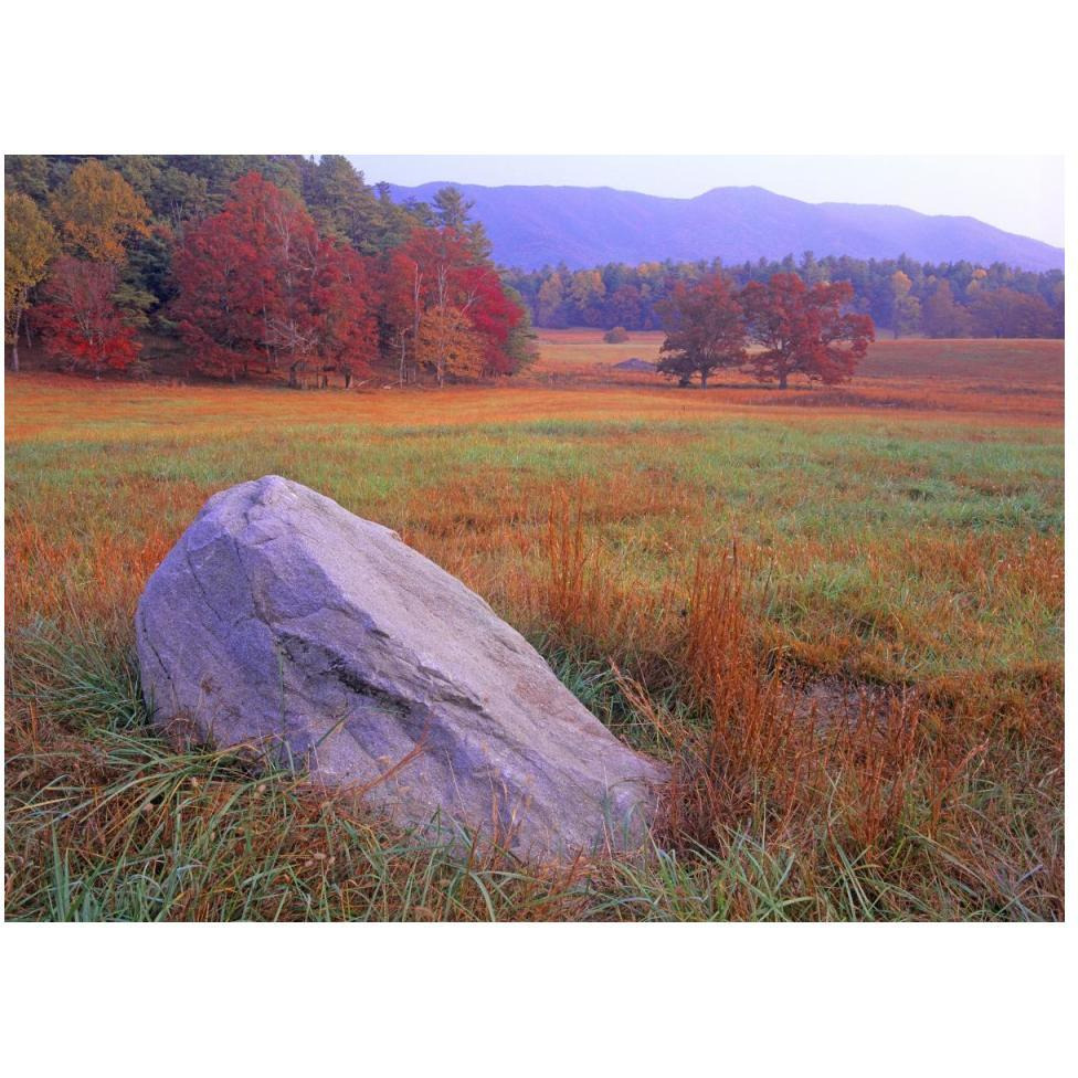 Boulder and autumn colored deciduous forest, Cades Cove, Great Smoky Mountains National Park, Tennessee-Paper Art-50&quotx38"